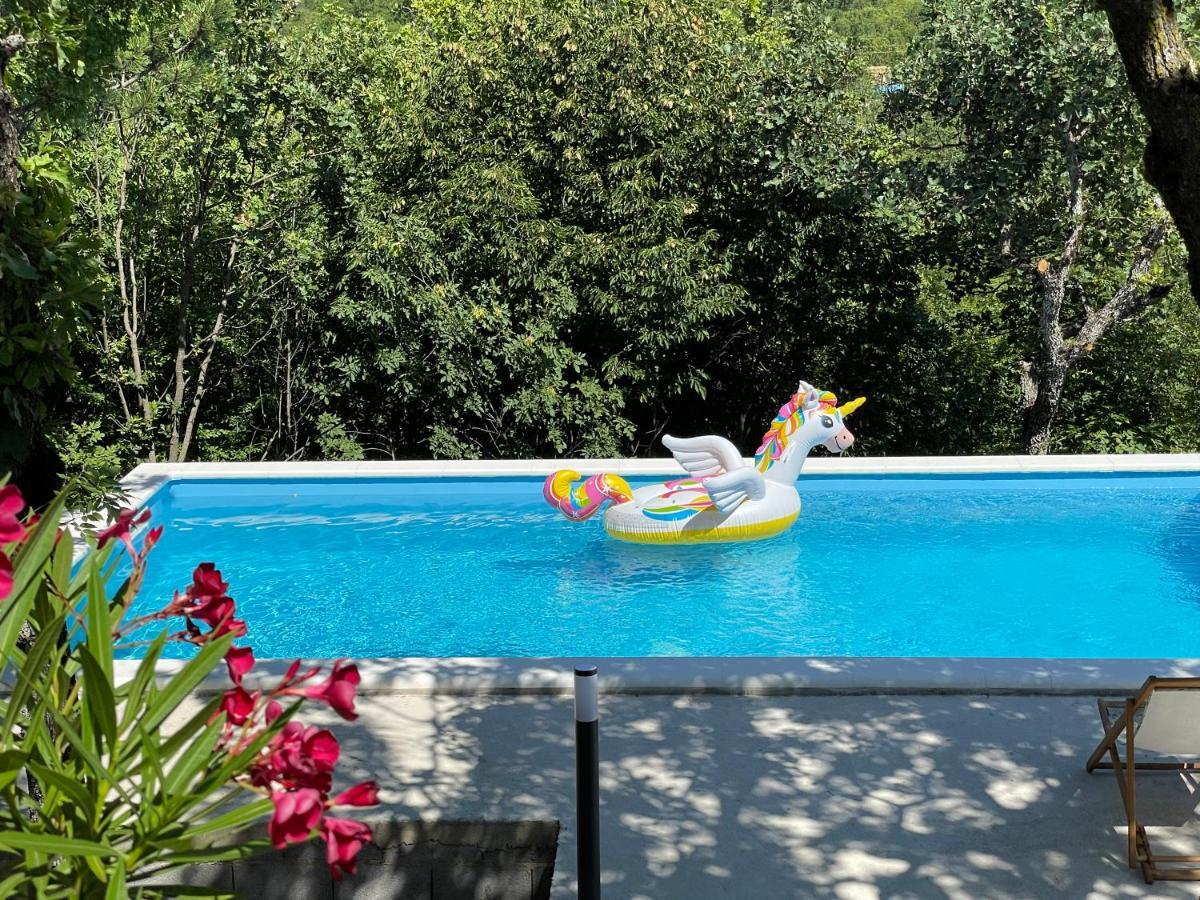Holiday House Dunamis Krivodol Ngoại thất bức ảnh